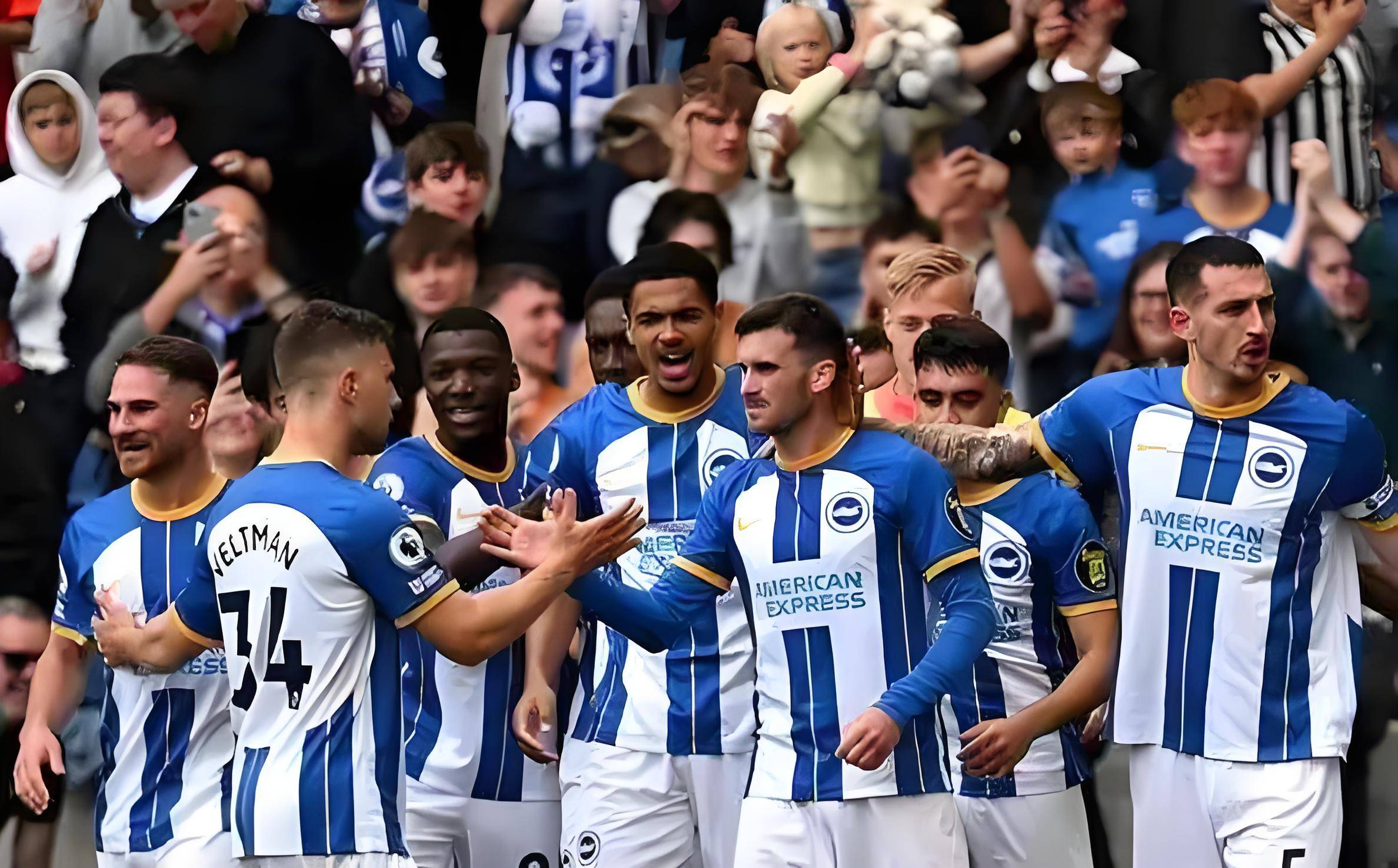 布莱顿主场击败对手,球队信心大涨 布莱顿主场击败对手,球队信心大涨